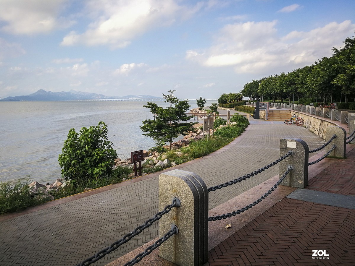 深圳灣紅樹林公園~ 掠影