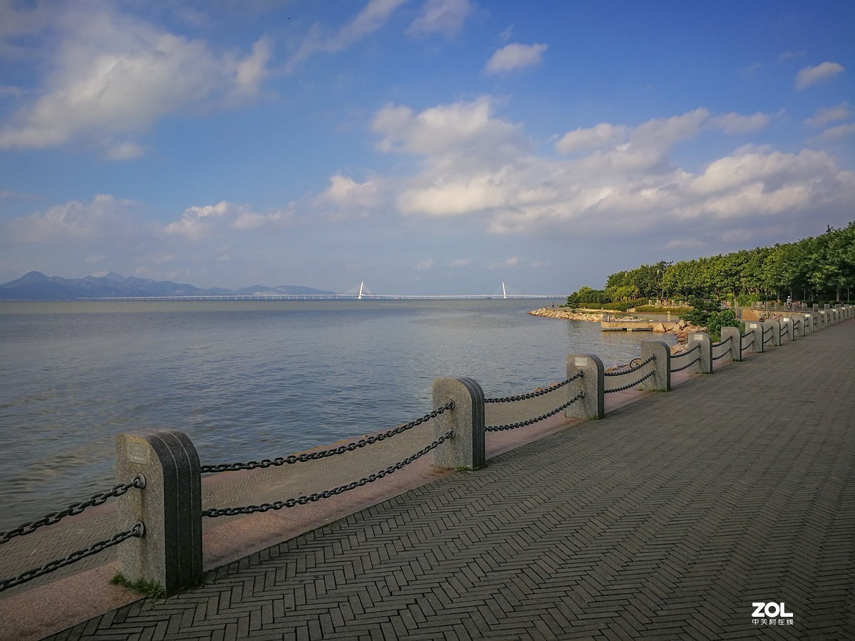 深圳湾红树林公园~ 掠影