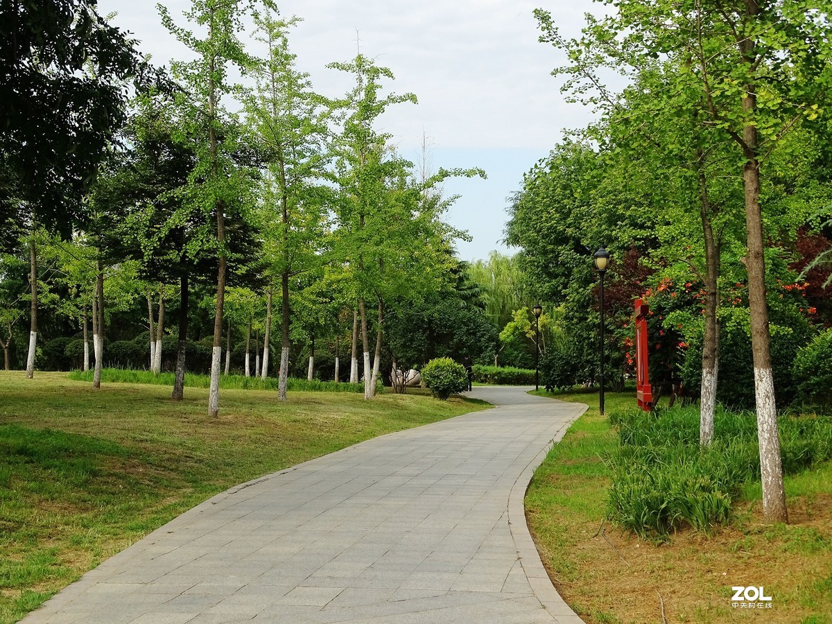 走走拍拍（2019年8月25日-10）