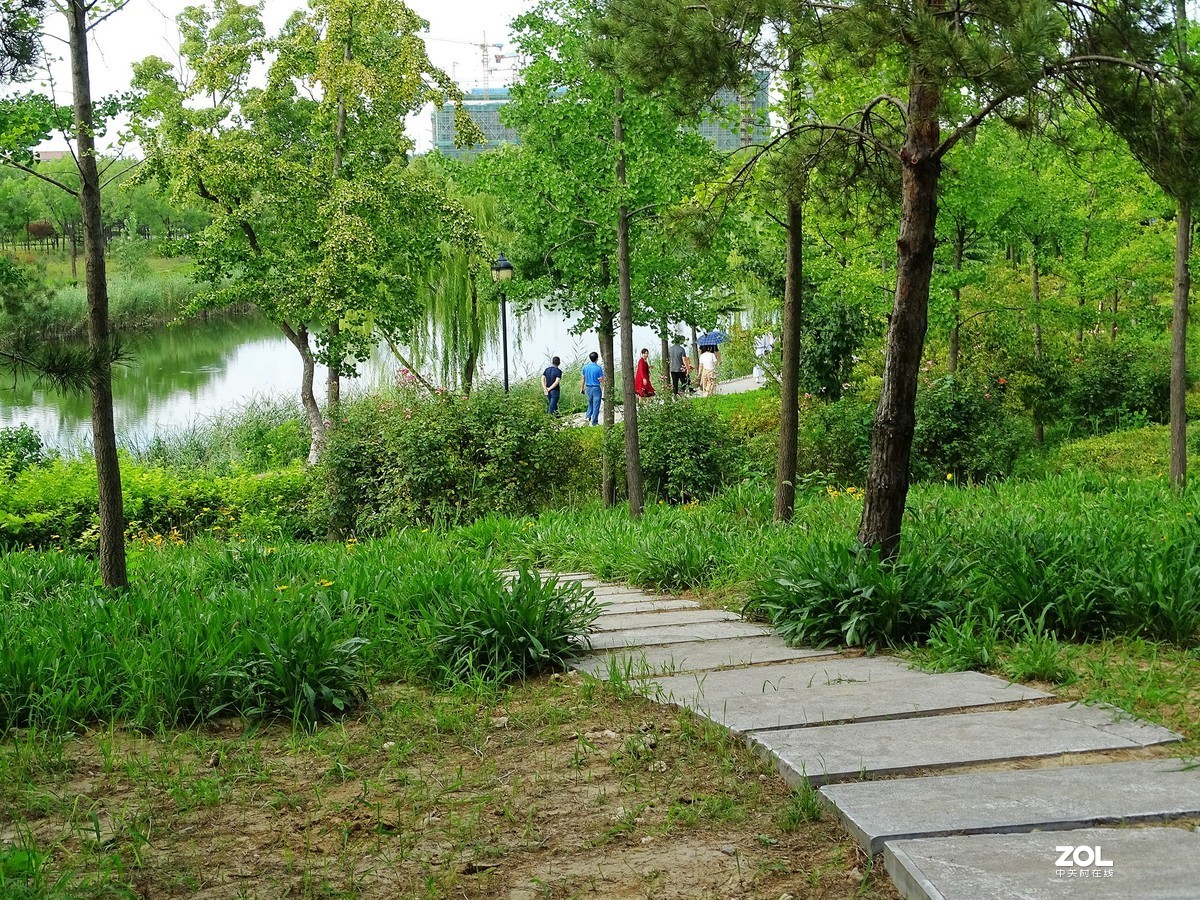 走走拍拍（2019年8月25日-10）