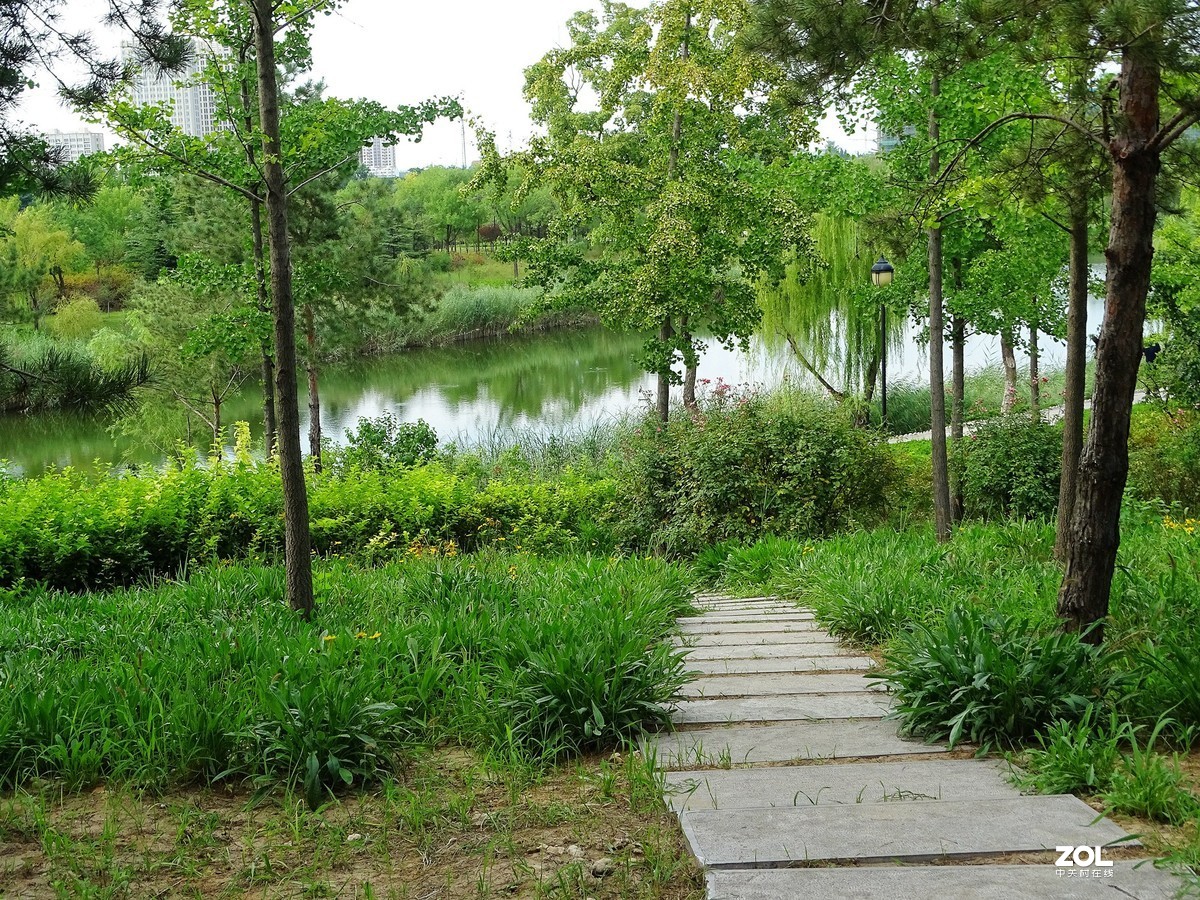 走走拍拍（2019年8月25日-10）