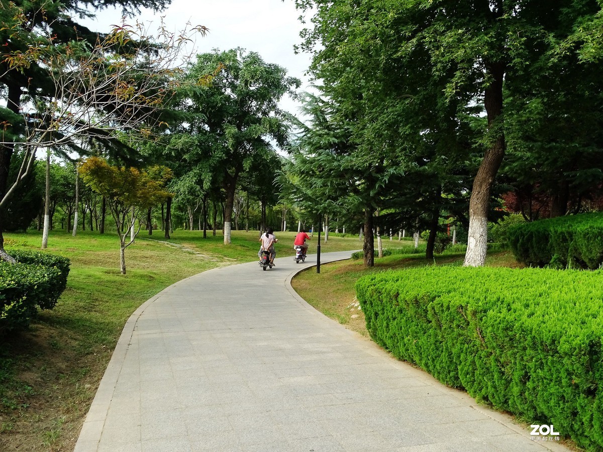 走走拍拍（2019年8月25日-10）