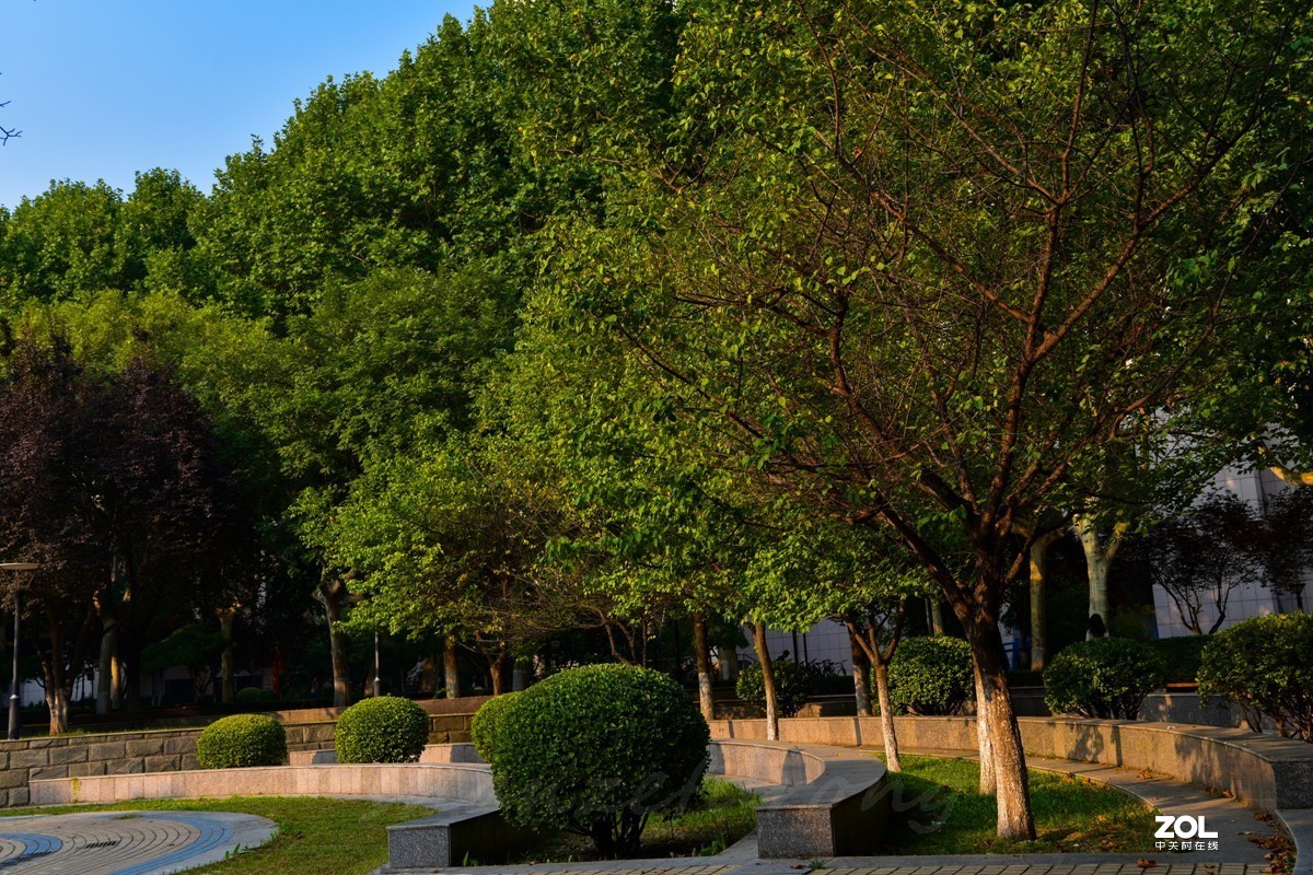 国庆中的西安交大校园