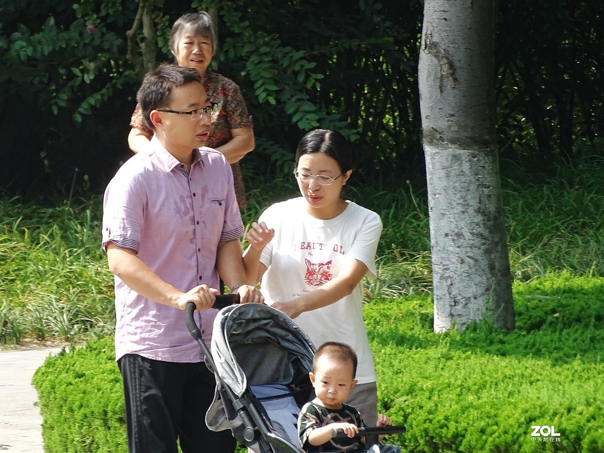 植物园里的游客-1