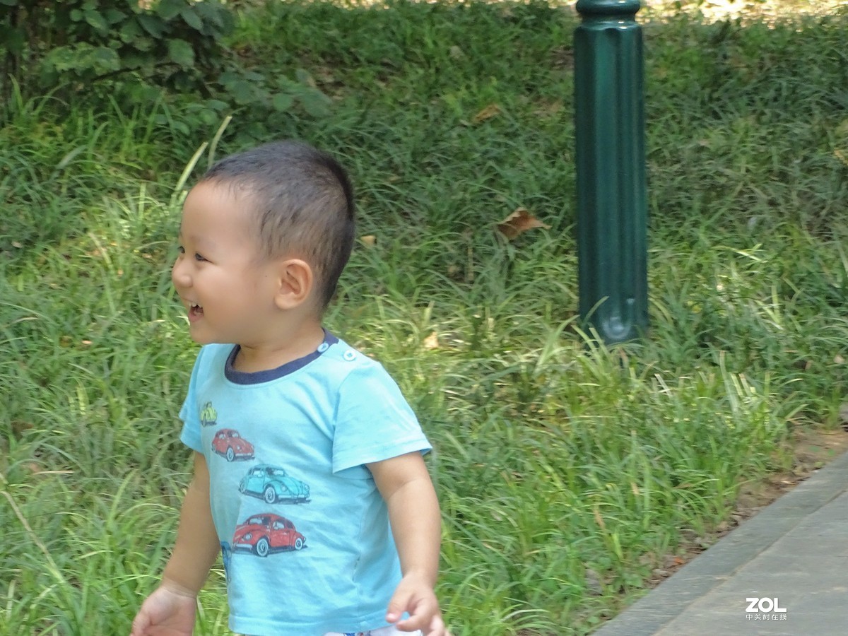 植物园里的游客-1