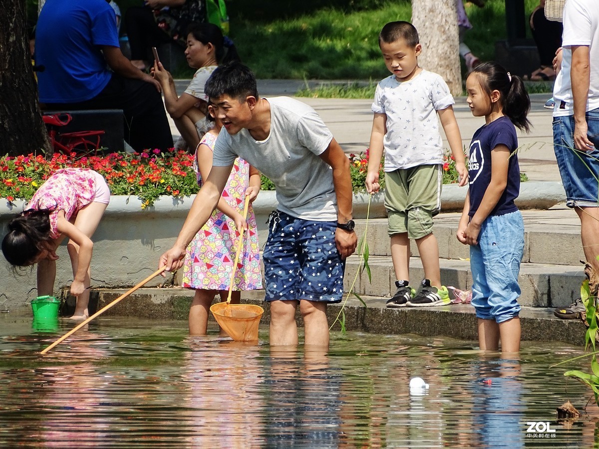 植物园里的游客-1