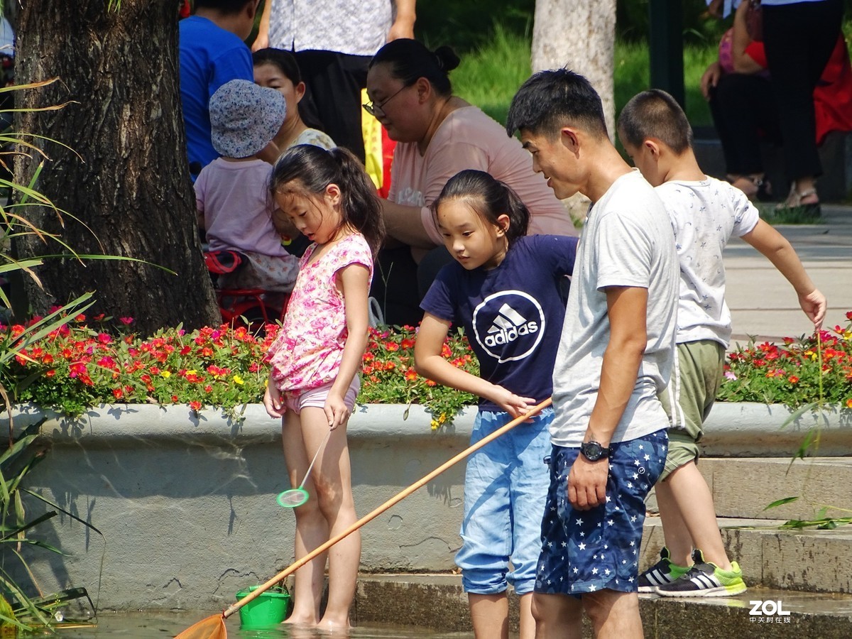 植物园里的游客-1
