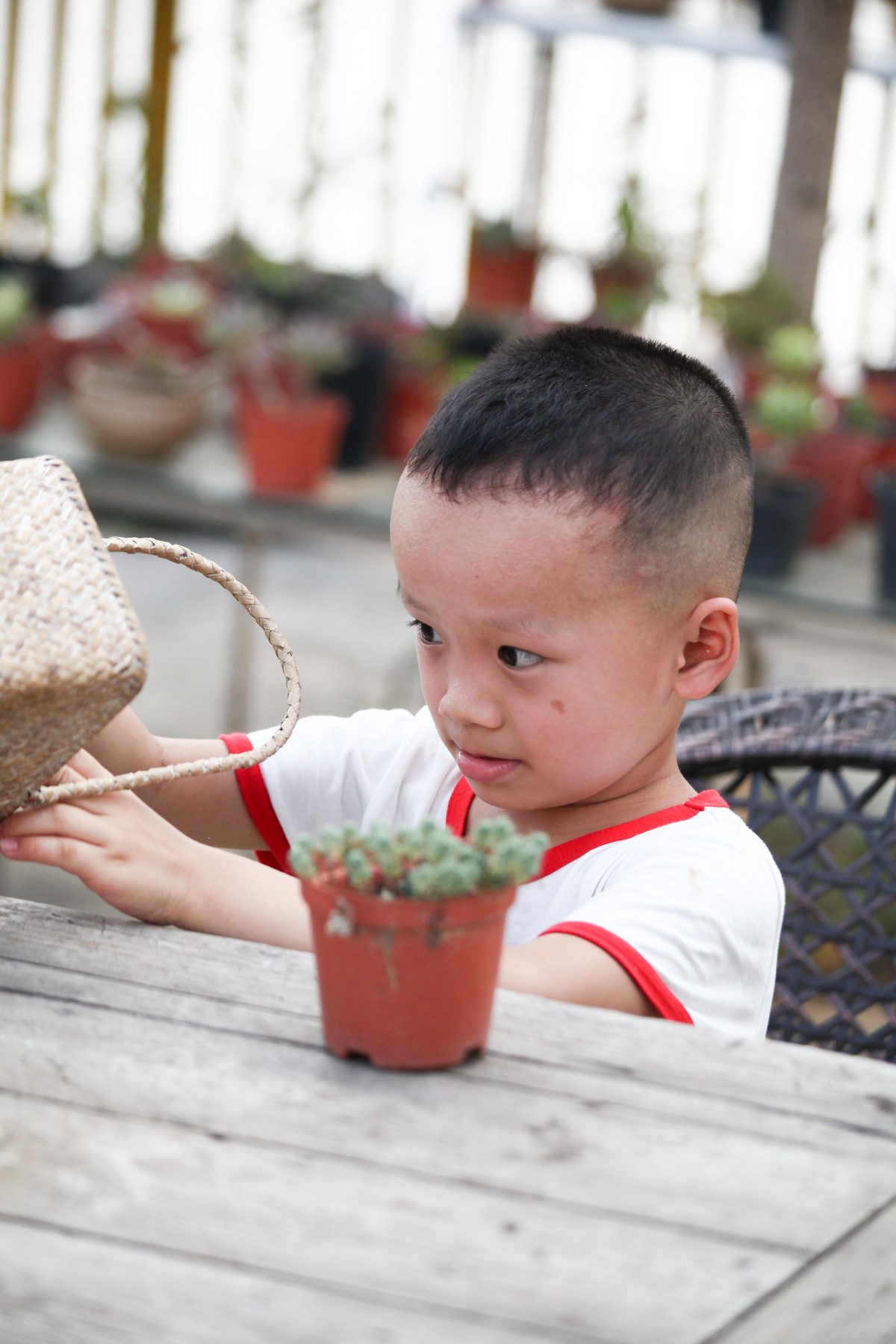 多肉园拍小朋友