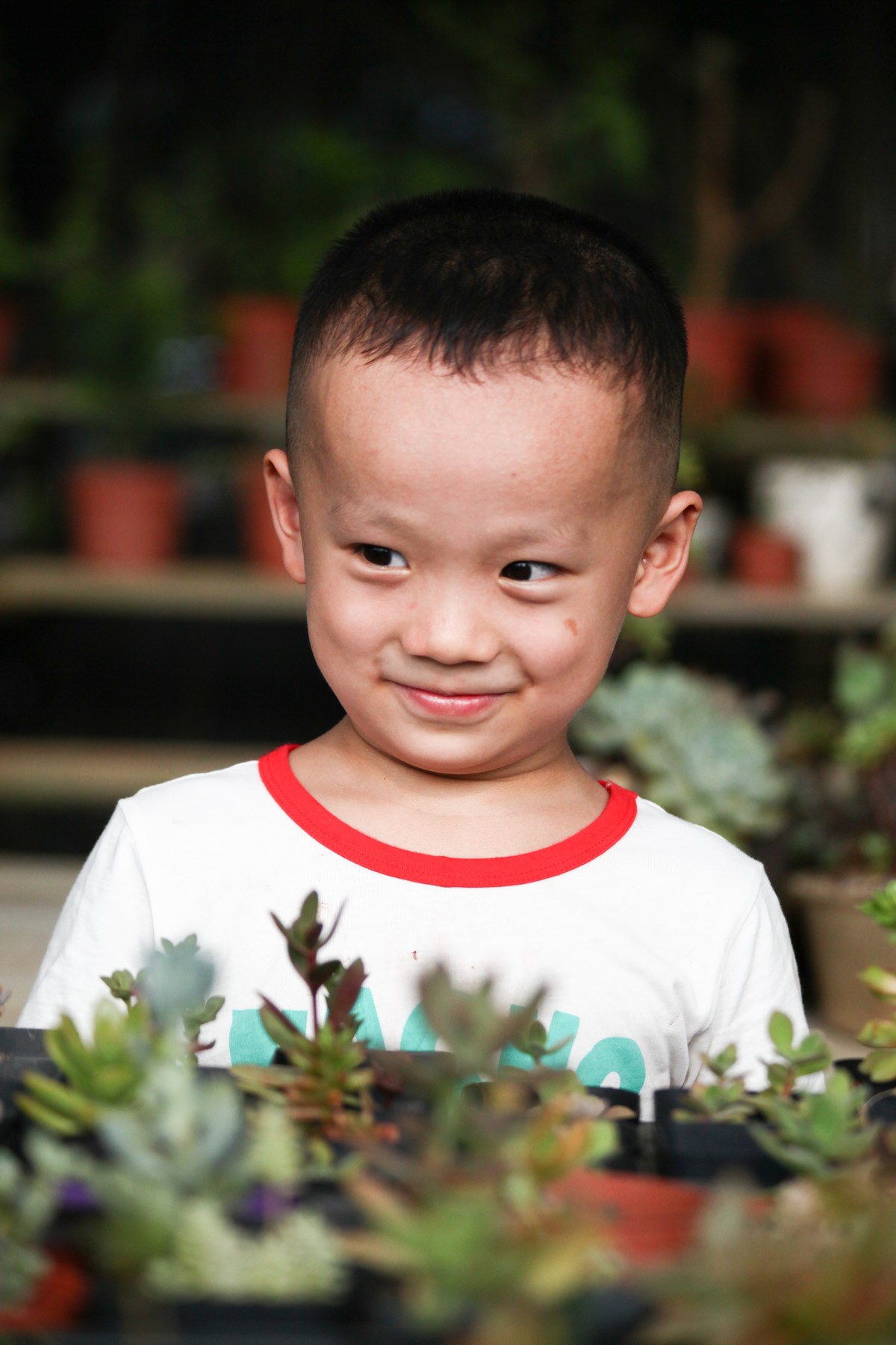 多肉园拍小朋友