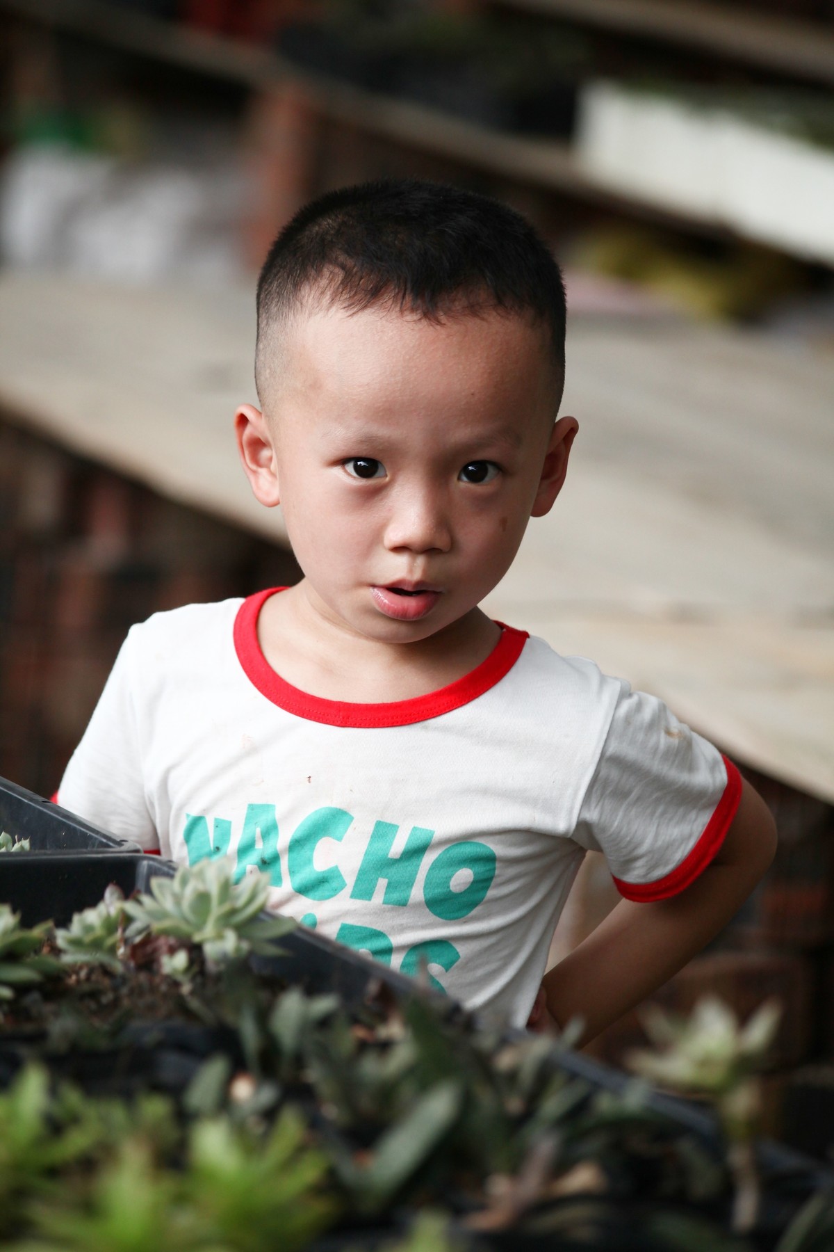 多肉园拍小朋友