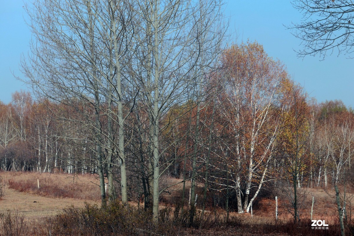 赛旱坝草原风景