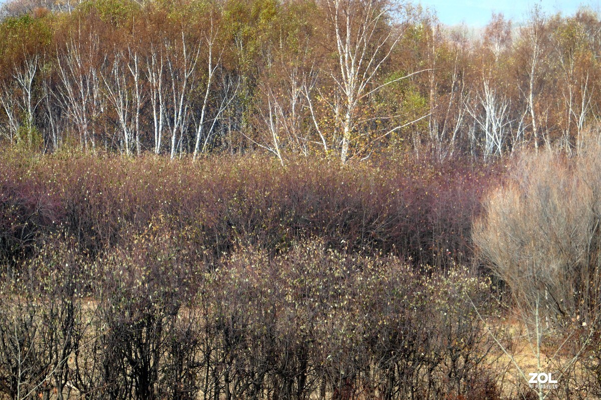 赛旱坝草原风景