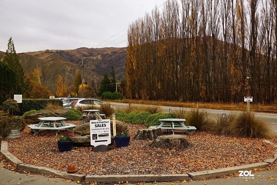 新西兰  水果小镇 克伦威尔