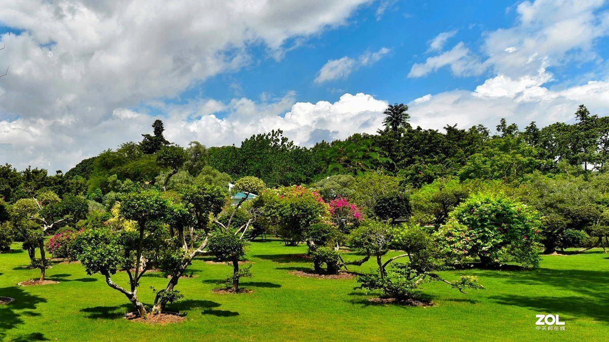 西双版纳热带花卉园6