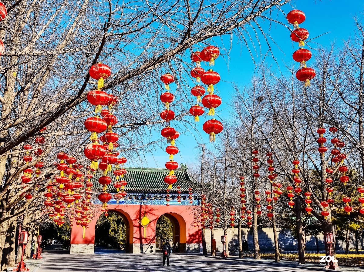 往日熙熙攘攘，今日冷冷清清（2月1日拍摄于天坛公园）