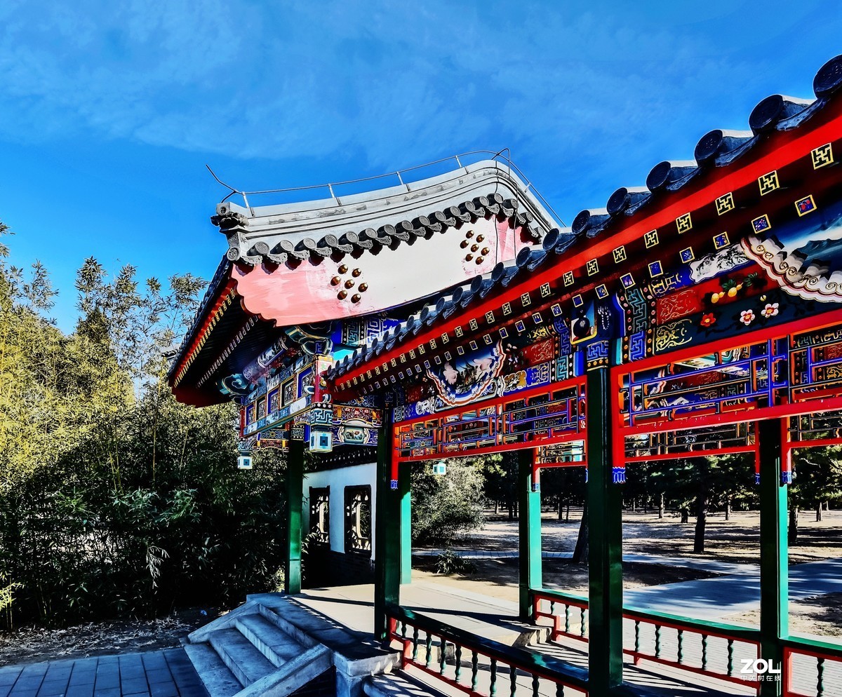 往日熙熙攘攘，今日冷冷清清（2月1日拍摄于天坛公园）