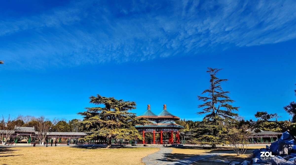 往日熙熙攘攘，今日冷冷清清（2月1日拍摄于天坛公园）