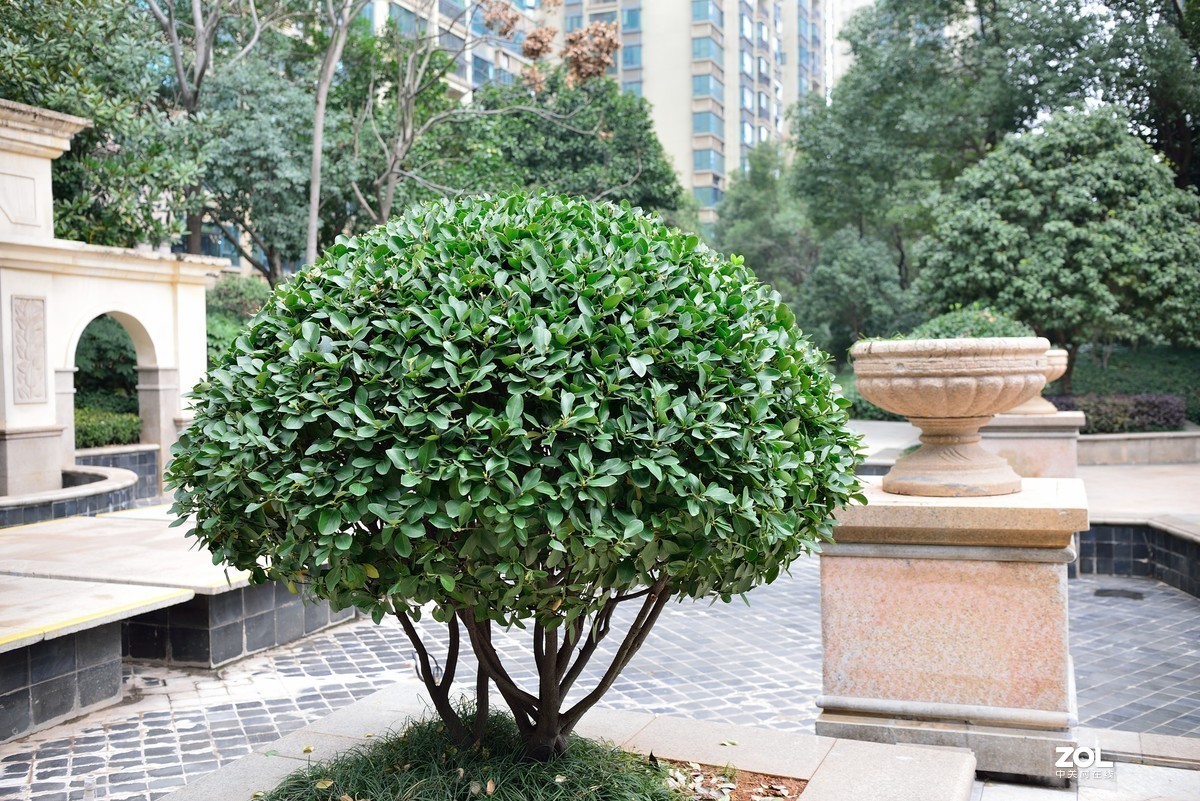 让DX 35 1.8G 满血开挂——为改善全幅上使用时的暗角而改造镜头尾部