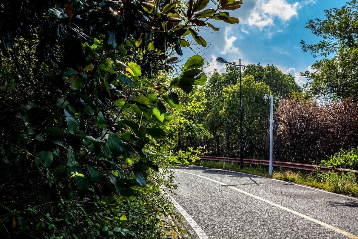 蠡湖风景 雨后天气晴朗