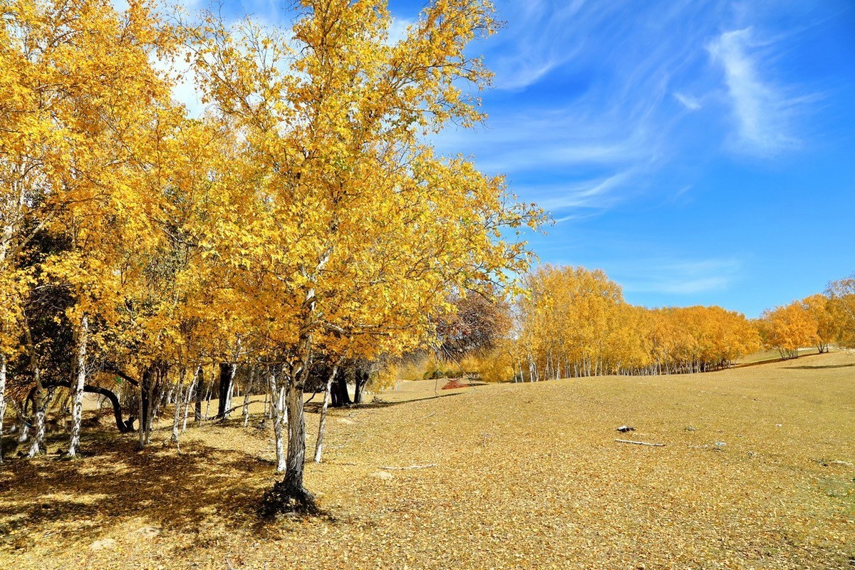 #大摄影佳# 自驾车穿越乌兰布统，欣赏沿途美景。