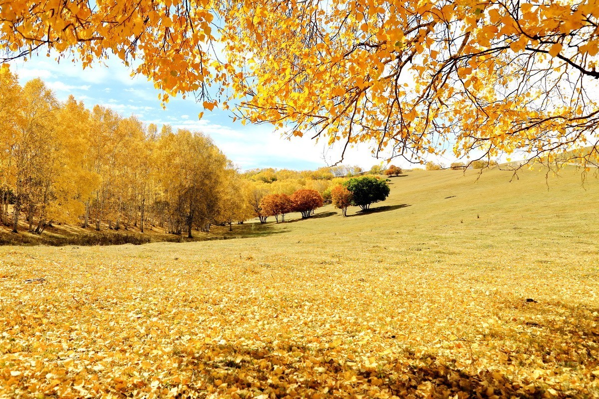 #大摄影佳# 自驾车穿越乌兰布统，欣赏沿途美景。