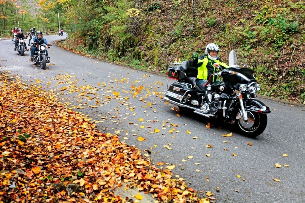 2019陕西省宝鸡市太白县大领子秋景