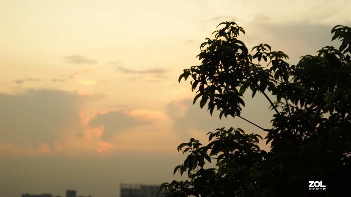 夕阳下的《落日美景》