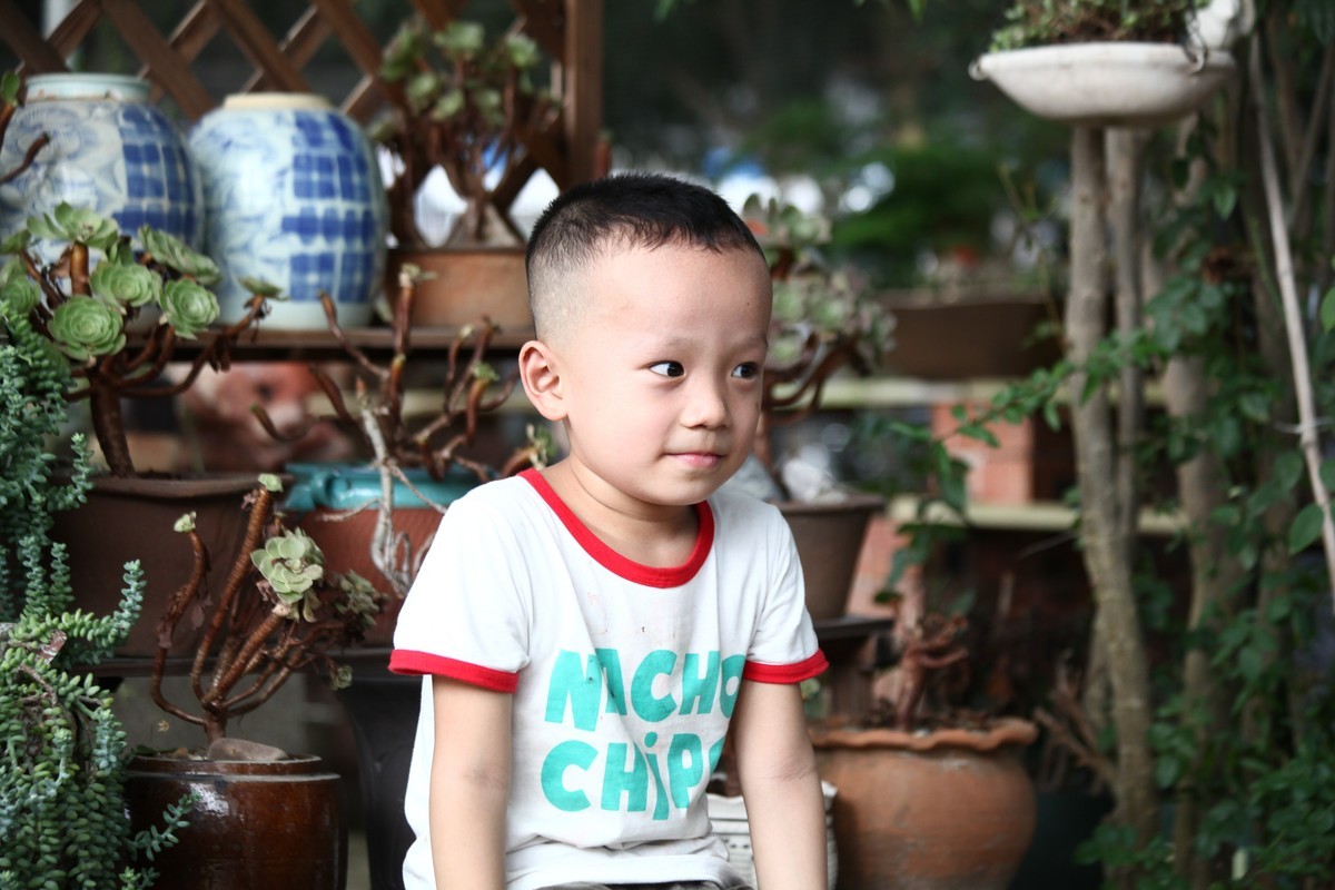 多肉园拍小朋友