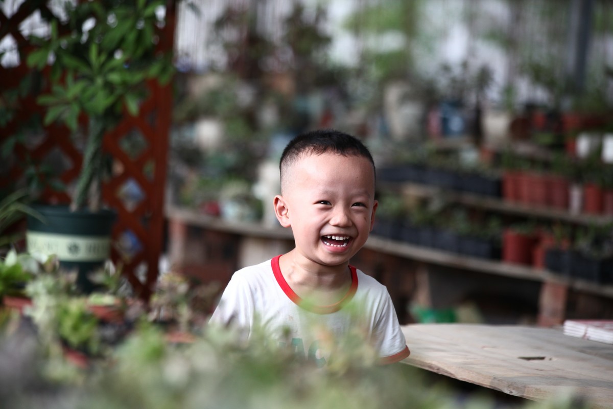 多肉园拍小朋友