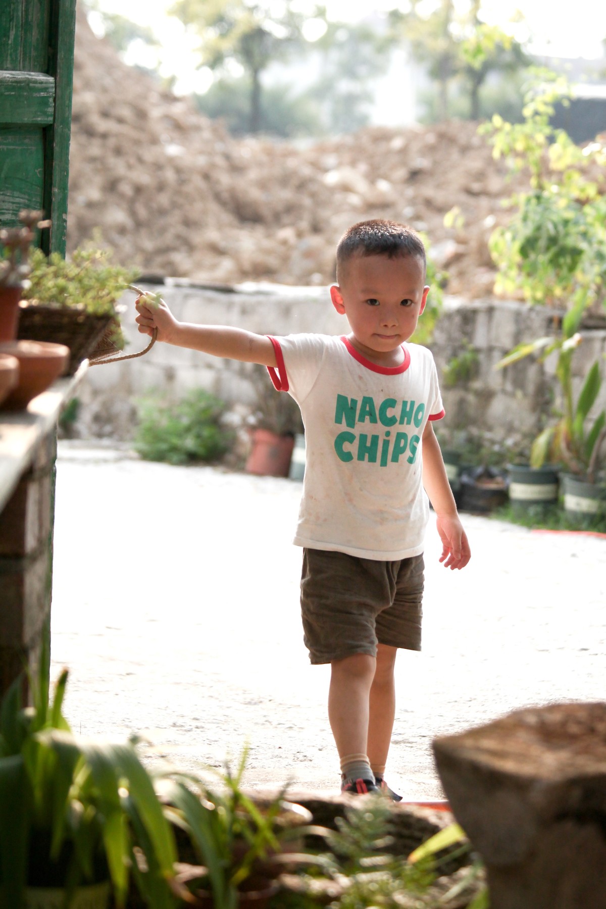 多肉园拍小朋友