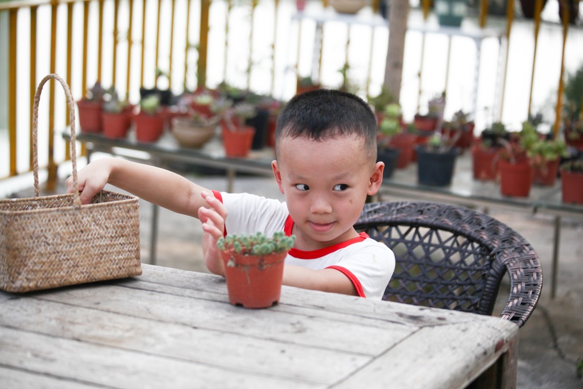 多肉园拍小朋友