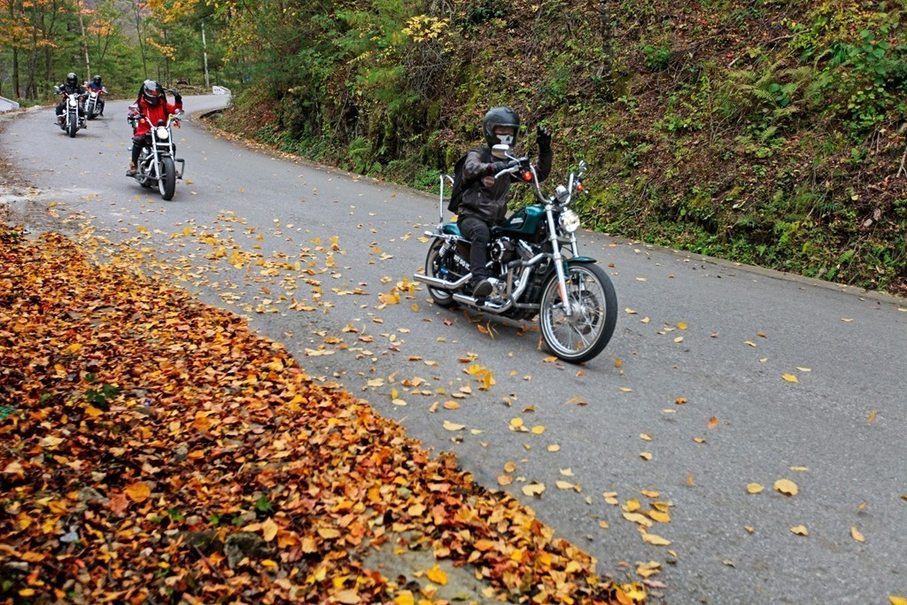 2019陕西省宝鸡市太白县大领子秋景