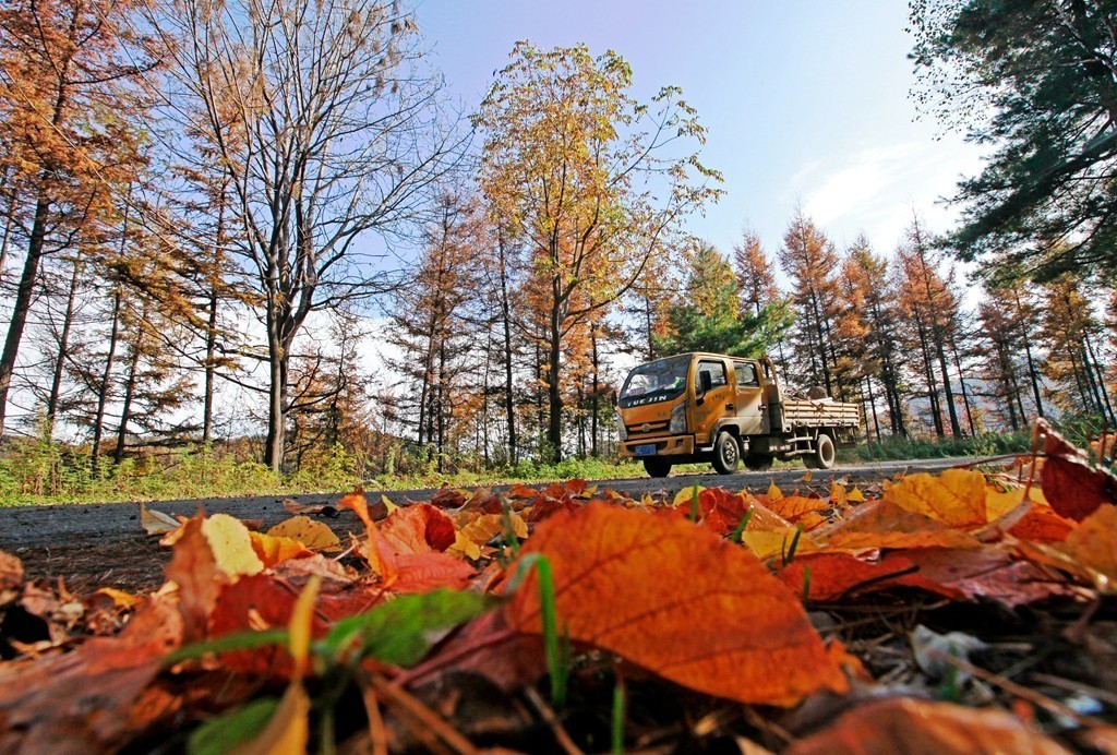 2019陕西省宝鸡市太白县大领子秋景
