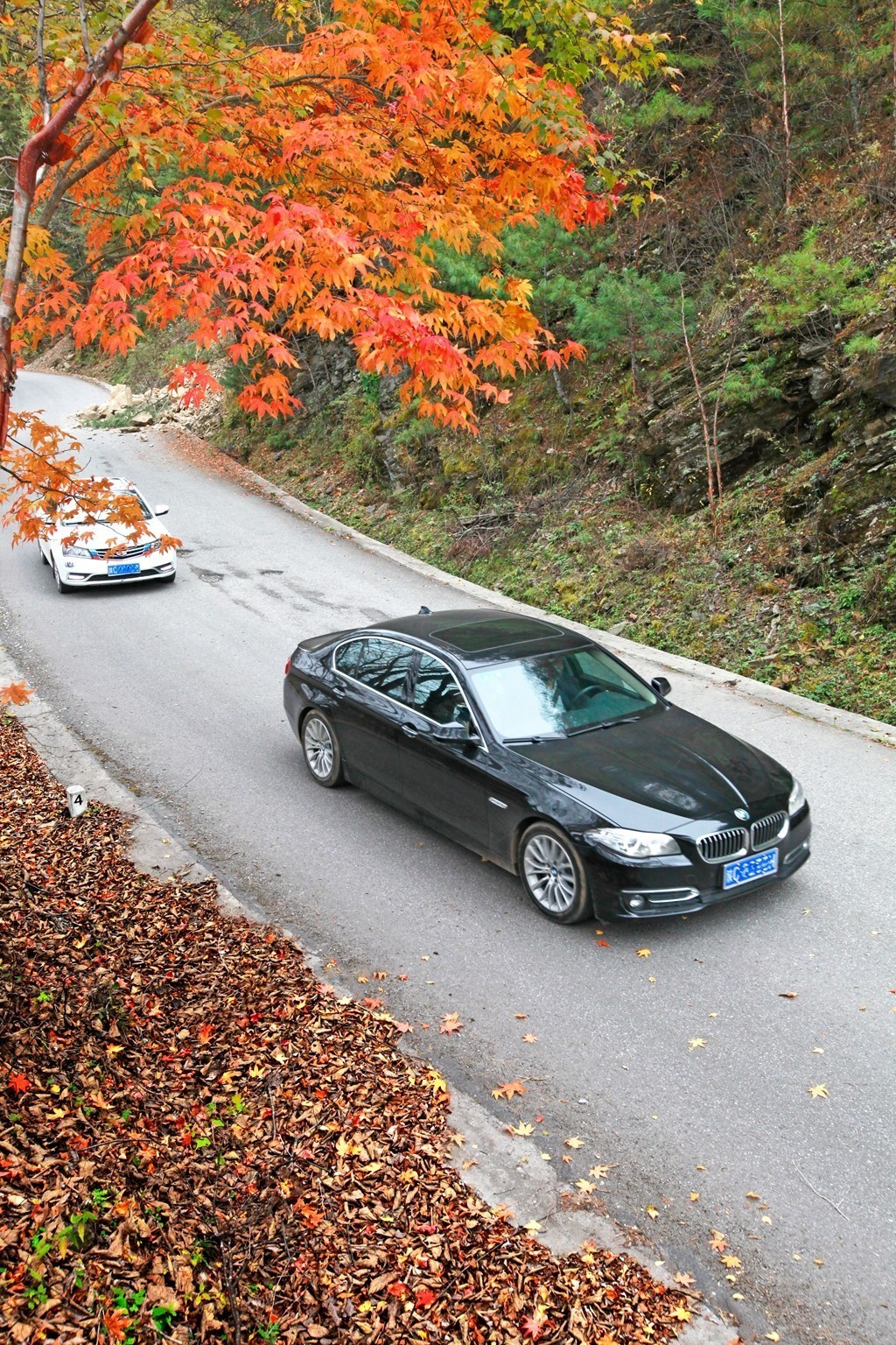 2019陕西省宝鸡市太白县大领子秋景