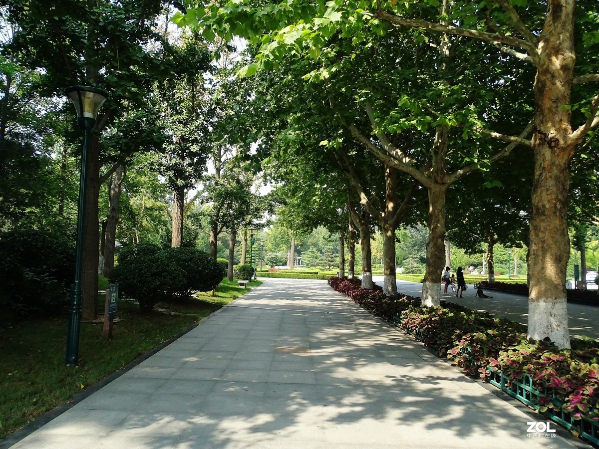 走走拍拍（2019.09.08-1）