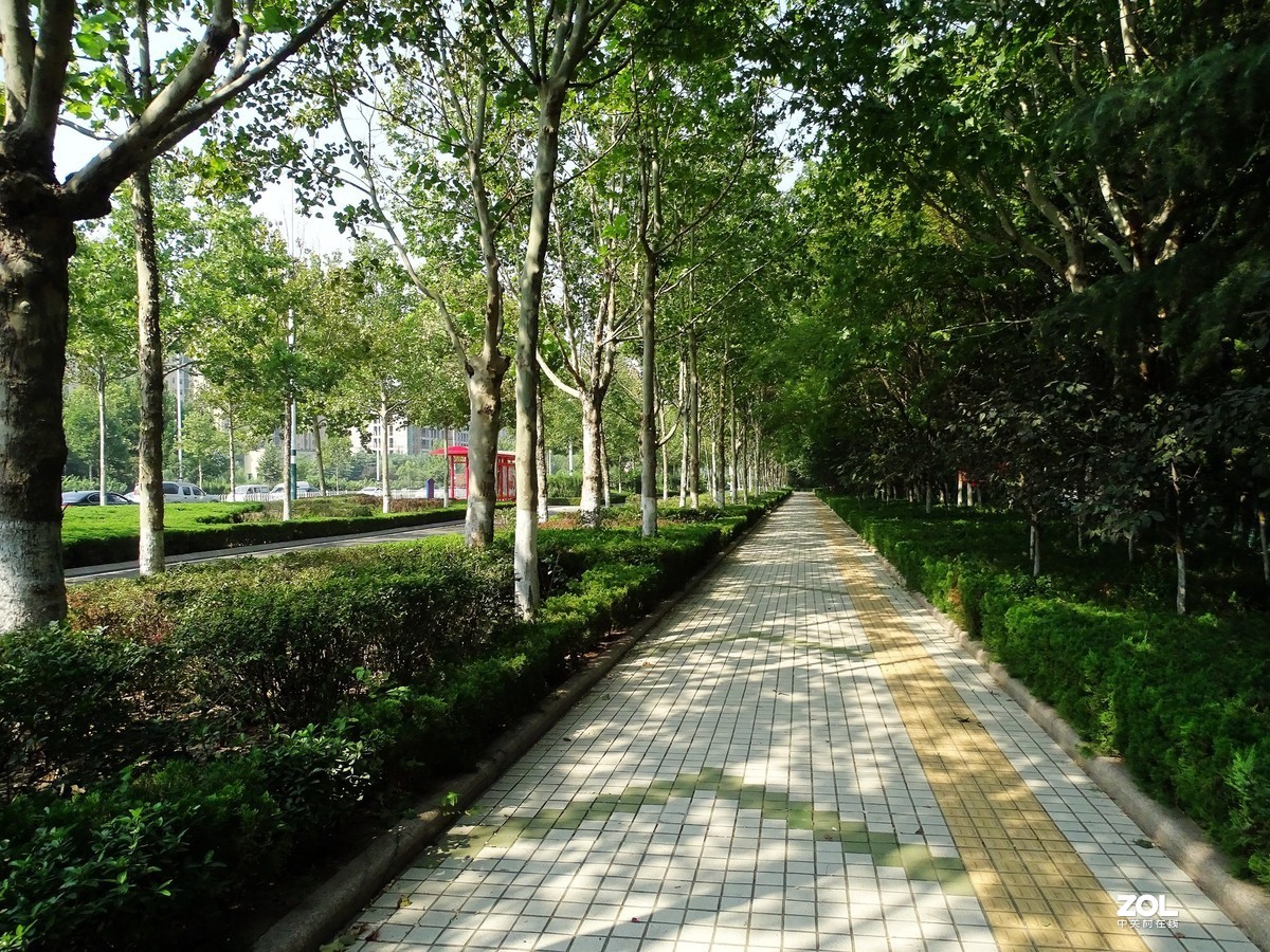 走走拍拍（2019.09.08-1）