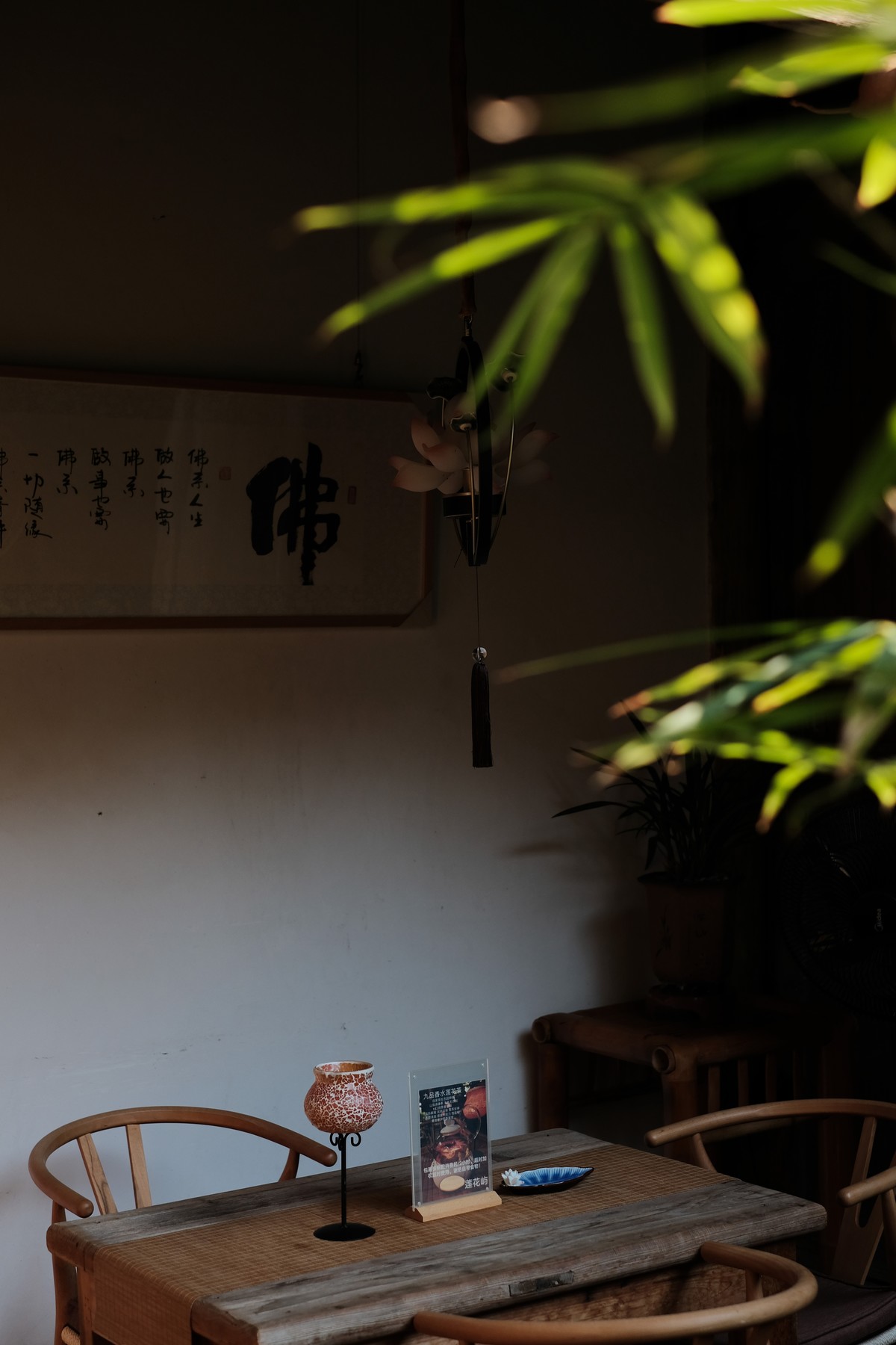 周日与儿子结伴扫街