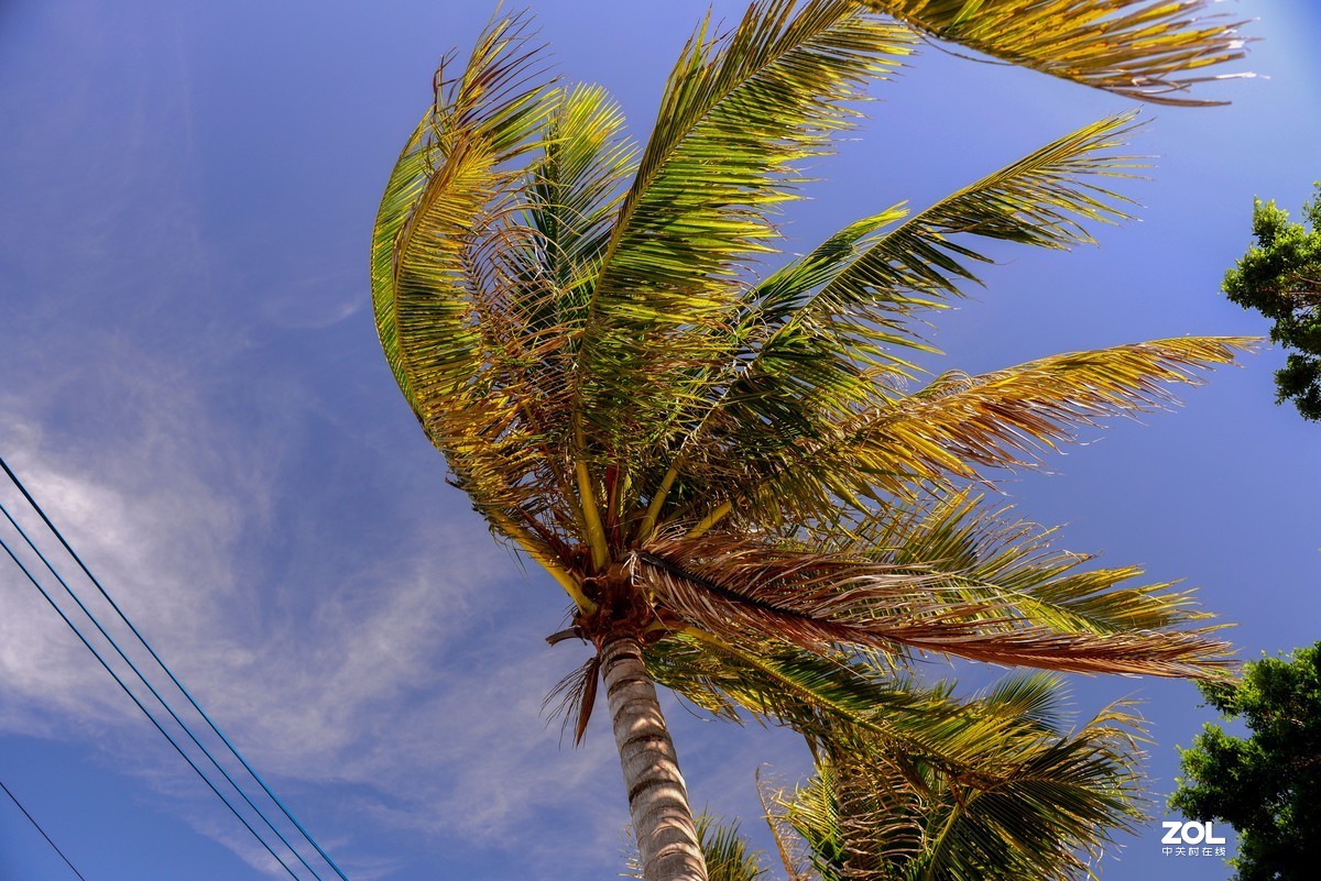 蓝蓝的天，阳江的海边。UV与偏振镜叠加产生的暗角。