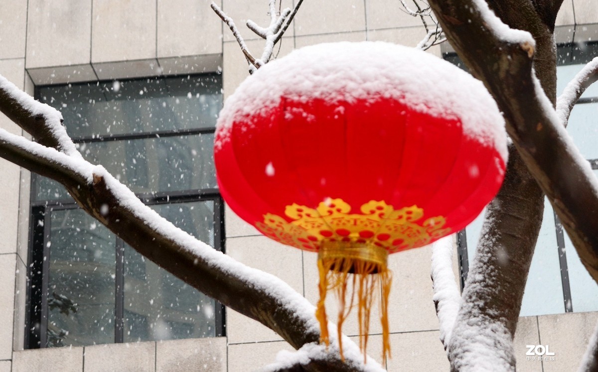 大雪中的红灯笼-中关村在线摄影论坛