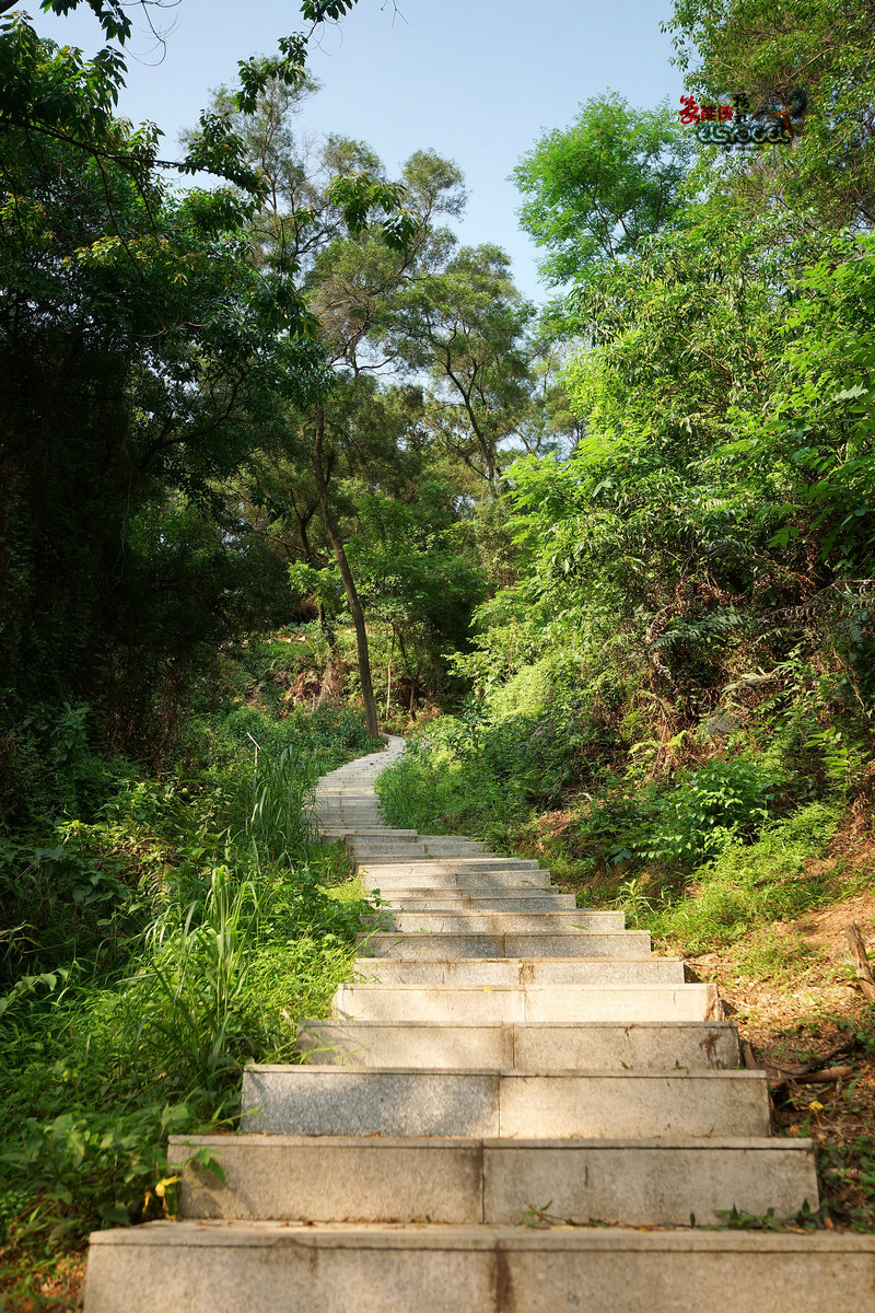 浔峰山生态公园景色