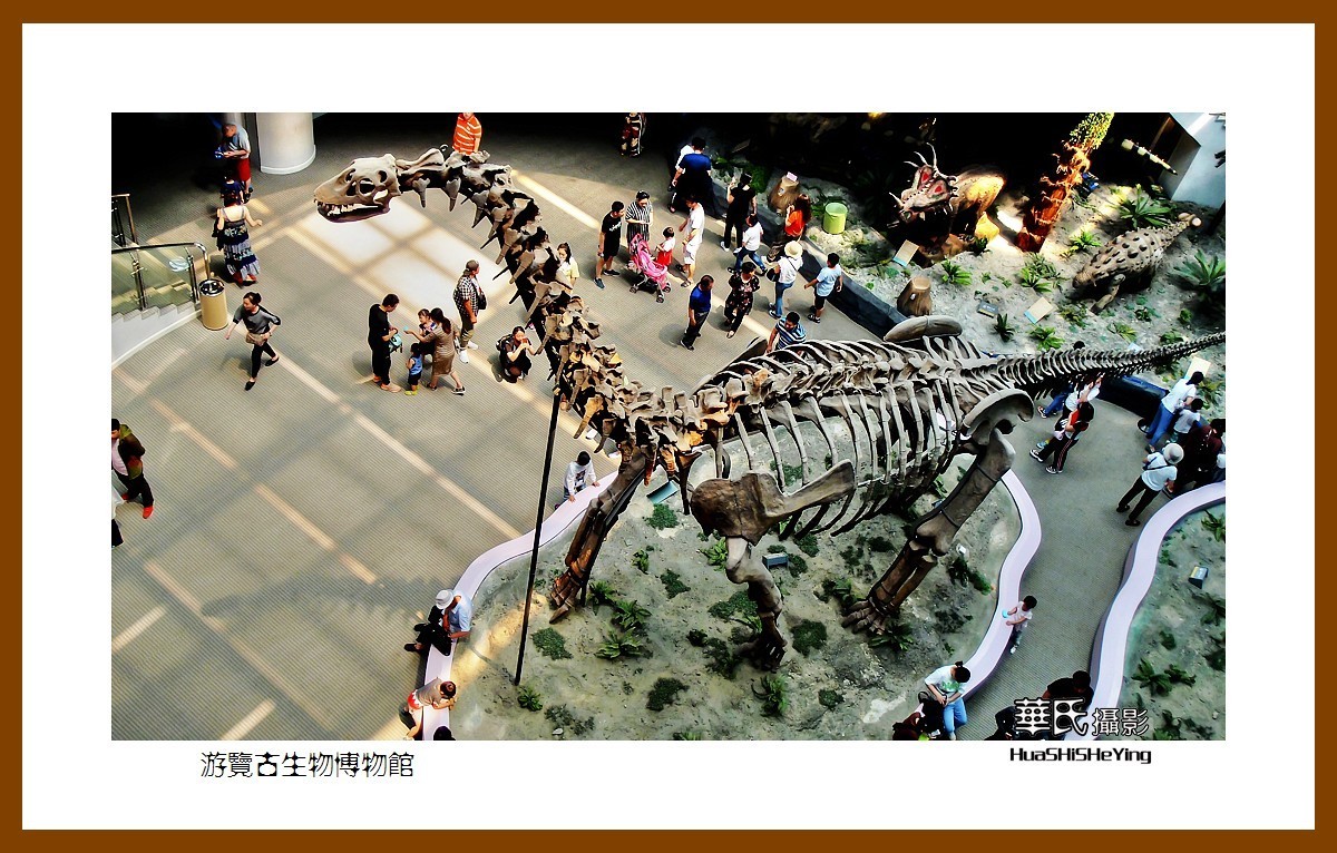 美色辽宁——游览古生物博物馆（沈阳师范大学）