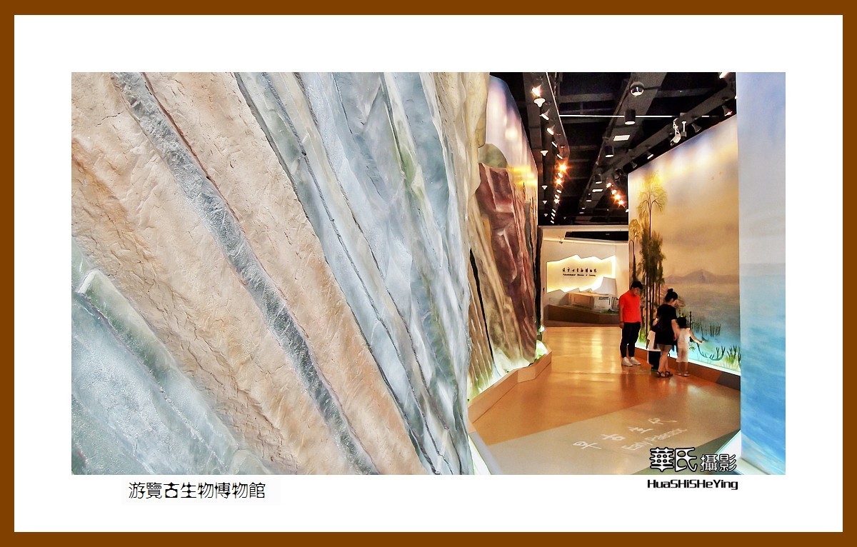 美色辽宁——游览古生物博物馆（沈阳师范大学）