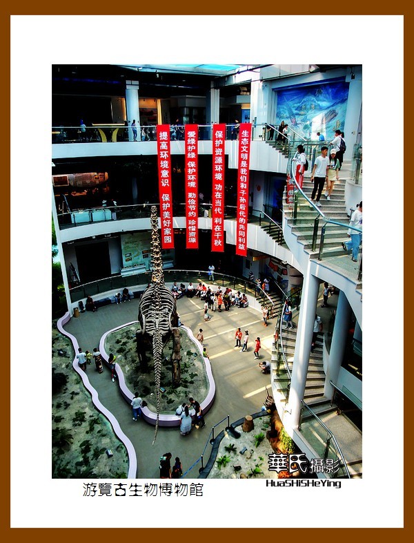 美色辽宁——游览古生物博物馆（沈阳师范大学）