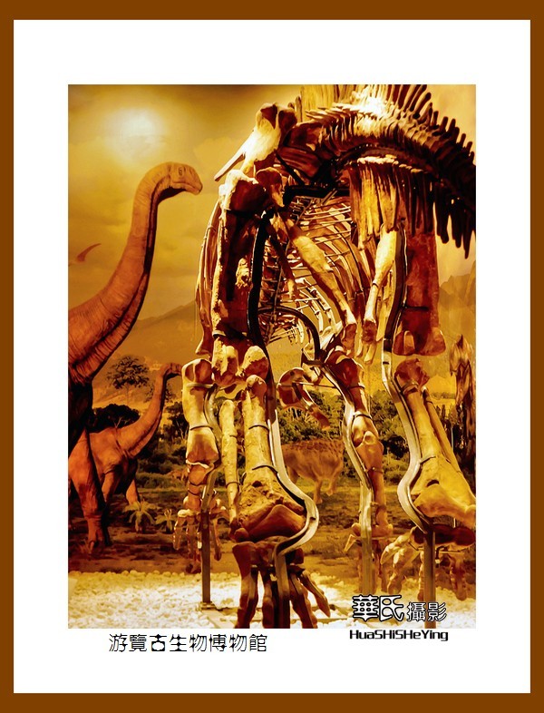 美色辽宁——游览古生物博物馆（沈阳师范大学）