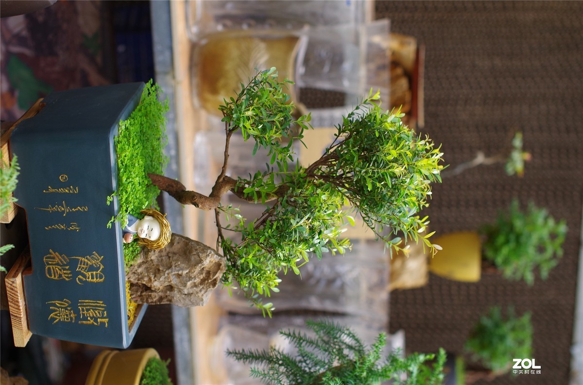 K50+适马50 1.4随拍