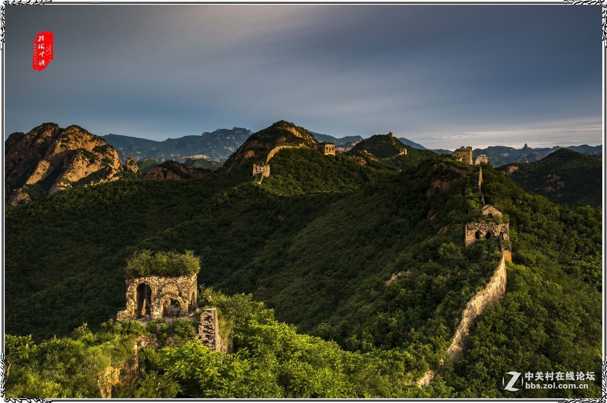 #版主坐堂#小五星空(中国)七月精品荟萃（上）风景  鸟篇