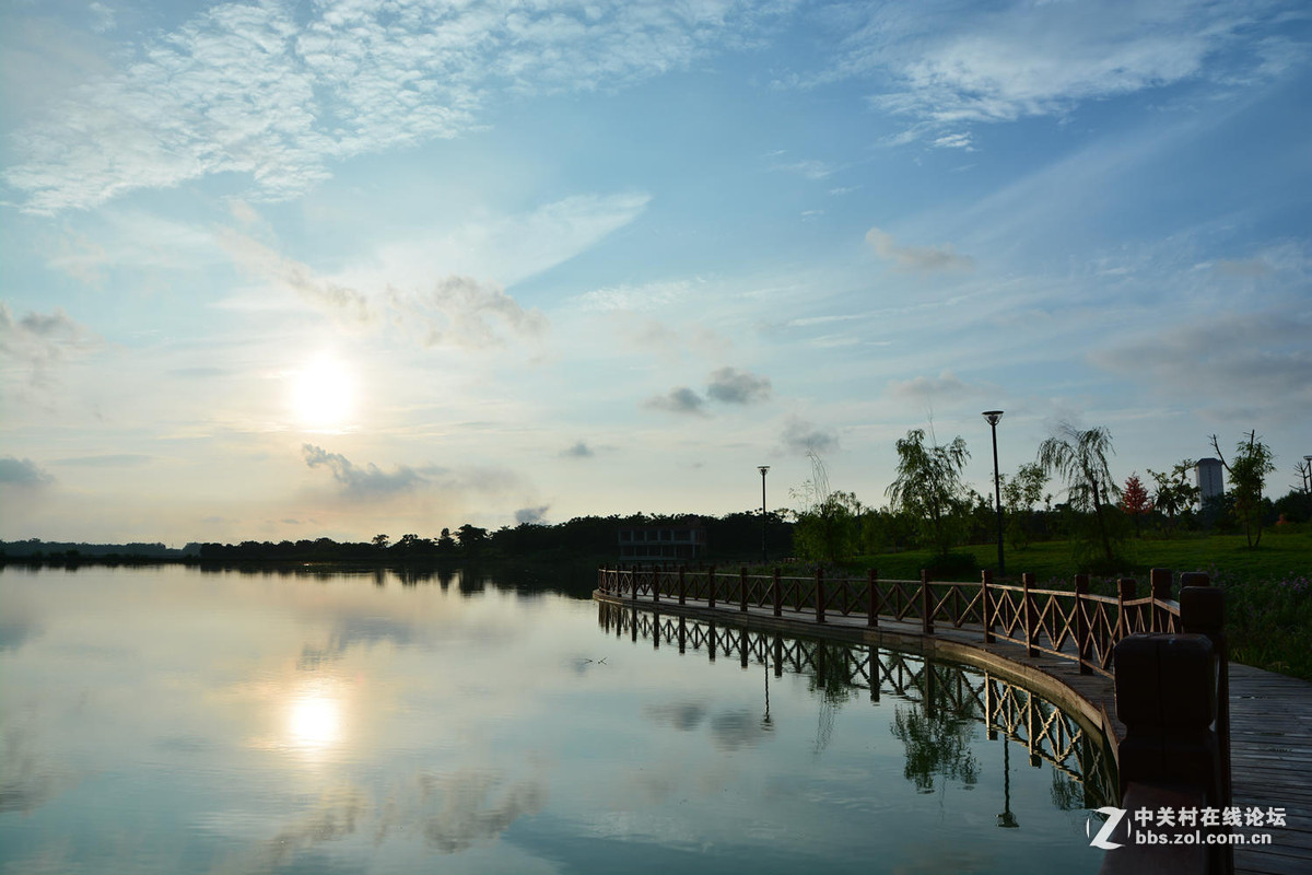 #版主坐堂#小五星空(中国)七月精品荟萃（上）风景  鸟篇