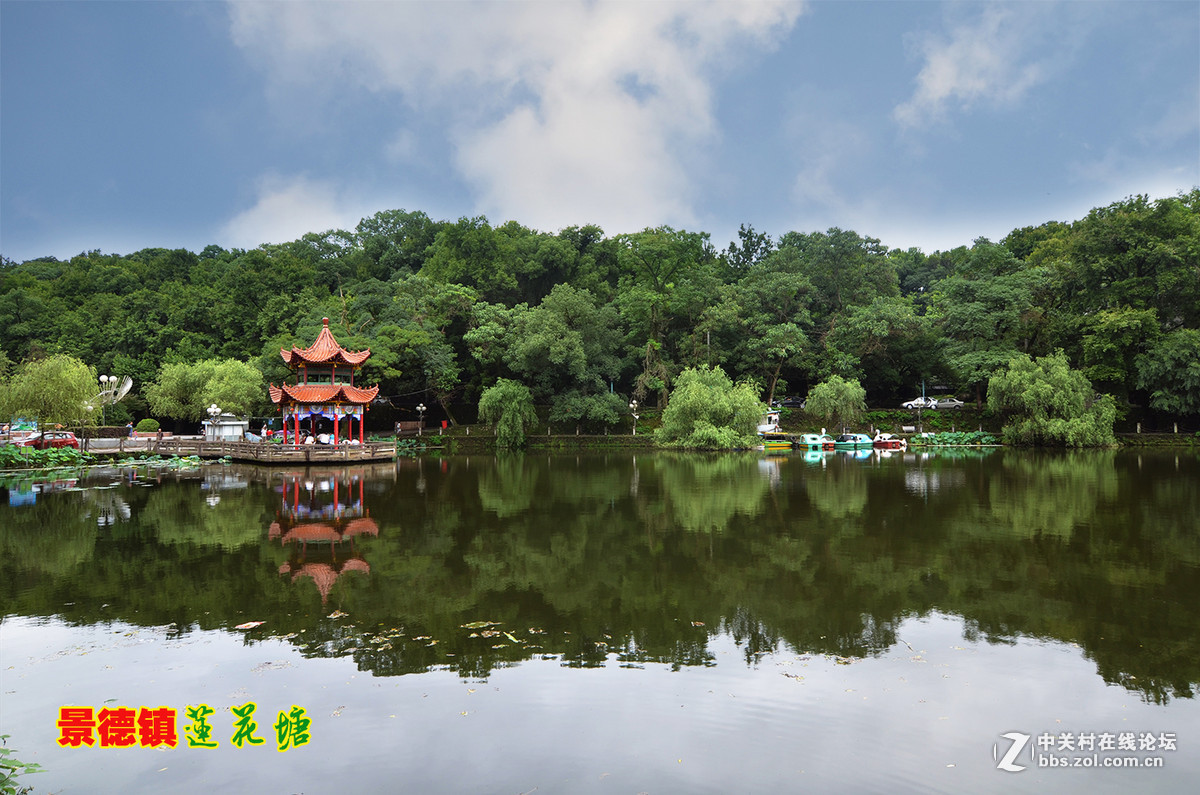 #版主坐堂#小五星空(中国)七月精品荟萃（上）风景  鸟篇