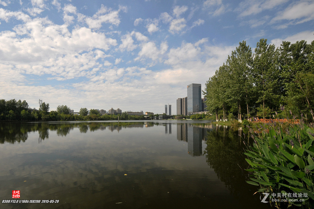 #版主坐堂#小五星空(中国)七月精品荟萃（上）风景  鸟篇