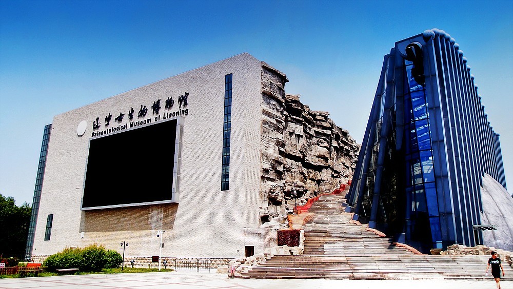 美色辽宁——游览古生物博物馆（沈阳师范大学）